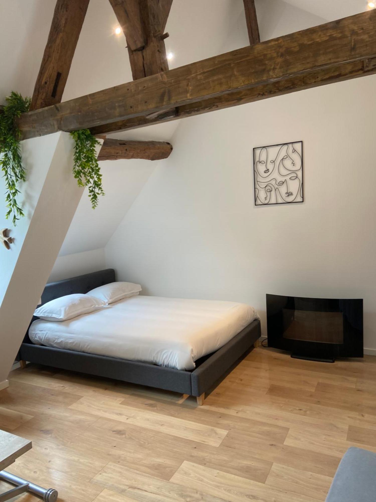La Champenoise La Tannerie Apartment ทรัวส์ ภายนอก รูปภาพ