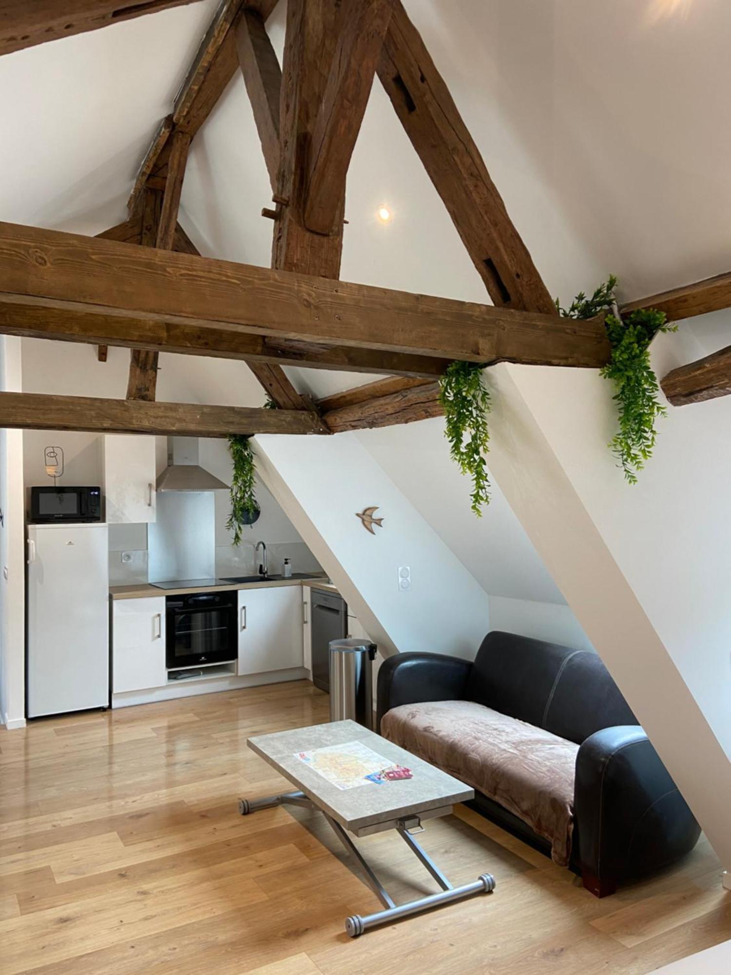 La Champenoise La Tannerie Apartment ทรัวส์ ภายนอก รูปภาพ
