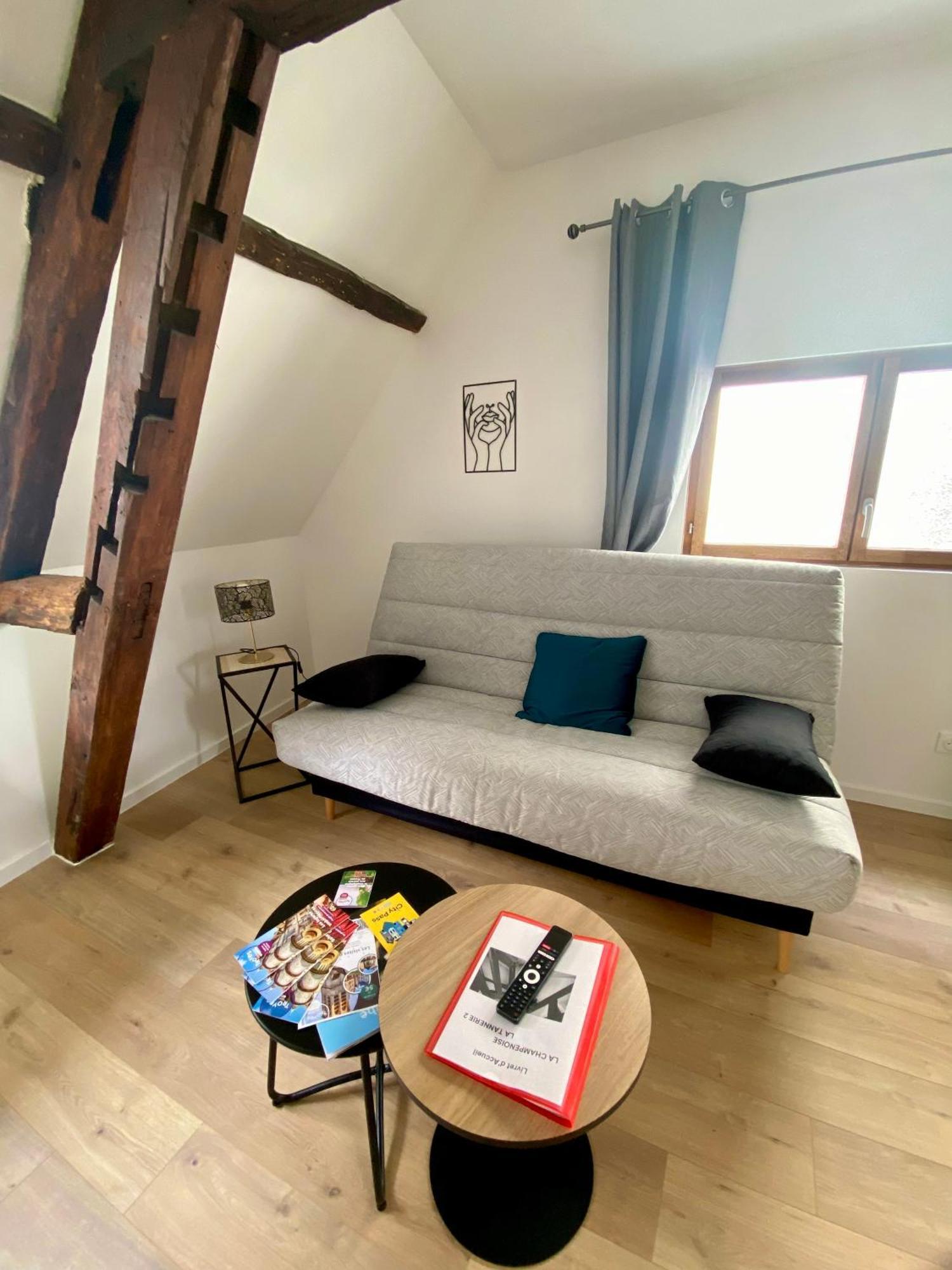 La Champenoise La Tannerie Apartment ทรัวส์ ภายนอก รูปภาพ
