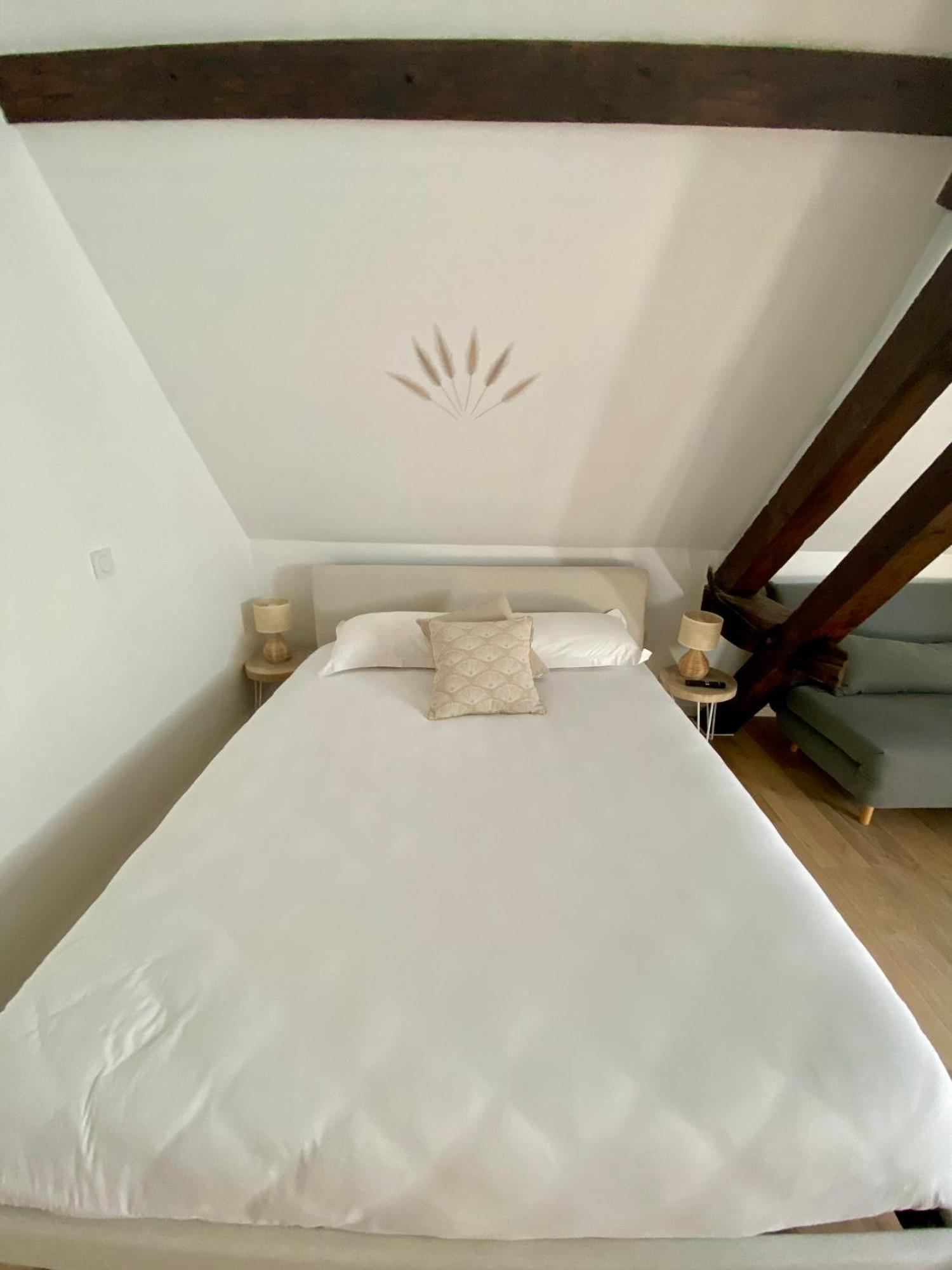 La Champenoise La Tannerie Apartment ทรัวส์ ภายนอก รูปภาพ