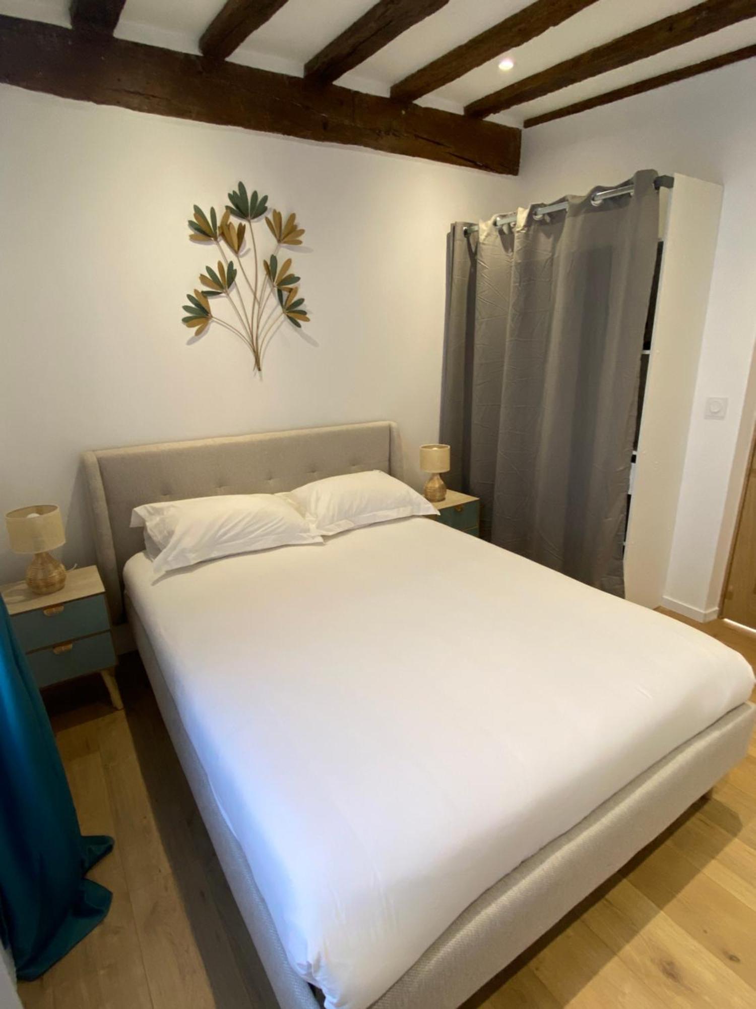 La Champenoise La Tannerie Apartment ทรัวส์ ภายนอก รูปภาพ