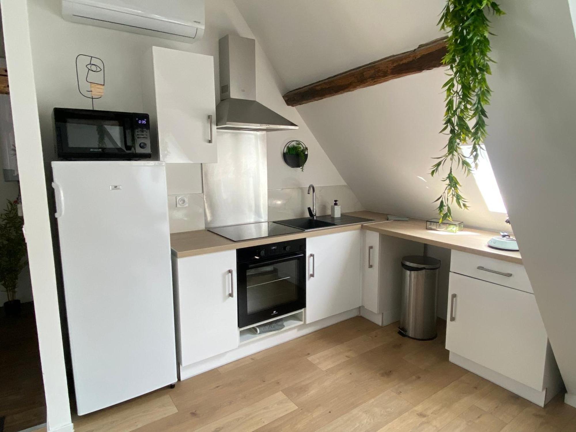 La Champenoise La Tannerie Apartment ทรัวส์ ภายนอก รูปภาพ