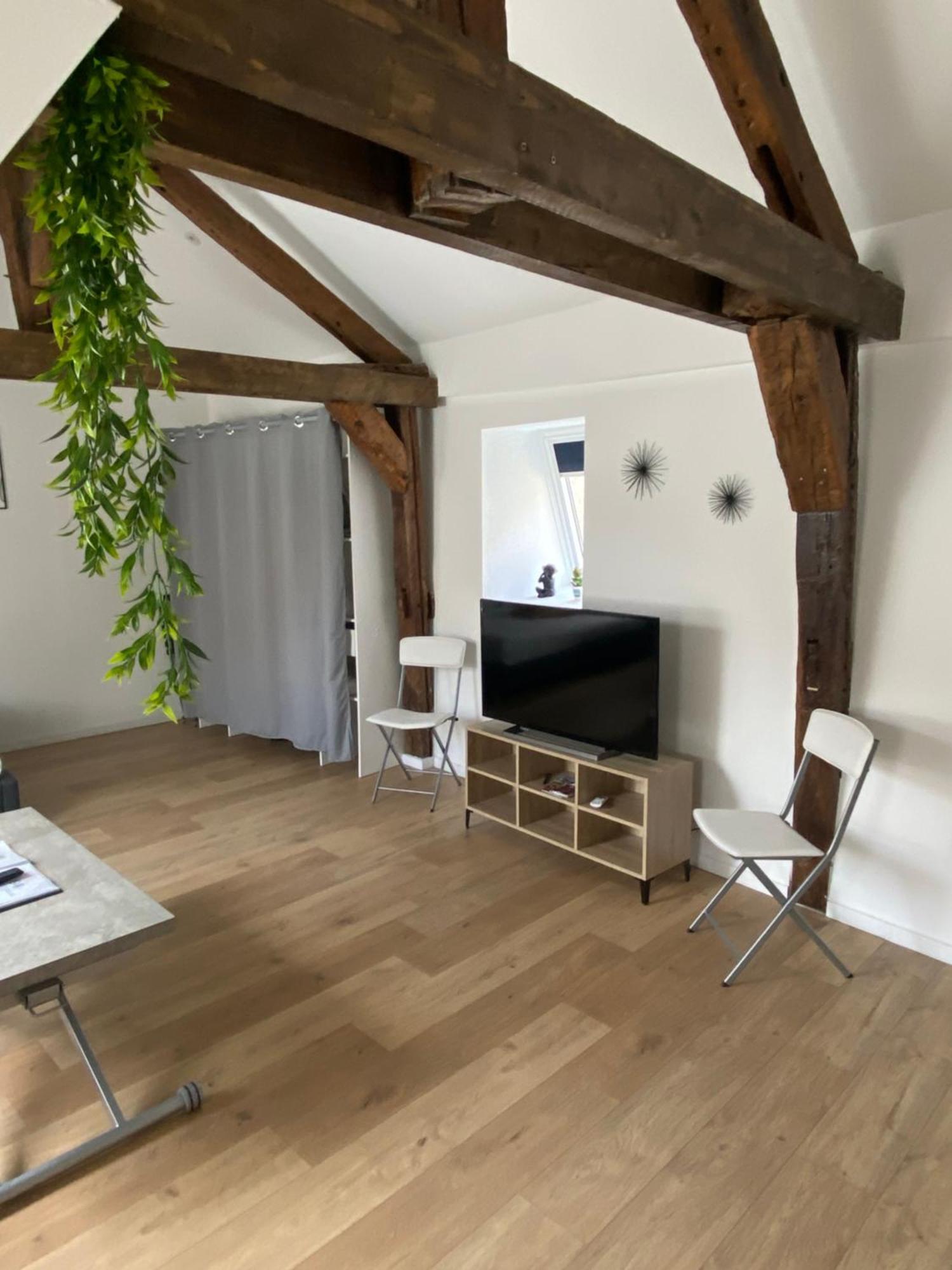 La Champenoise La Tannerie Apartment ทรัวส์ ภายนอก รูปภาพ