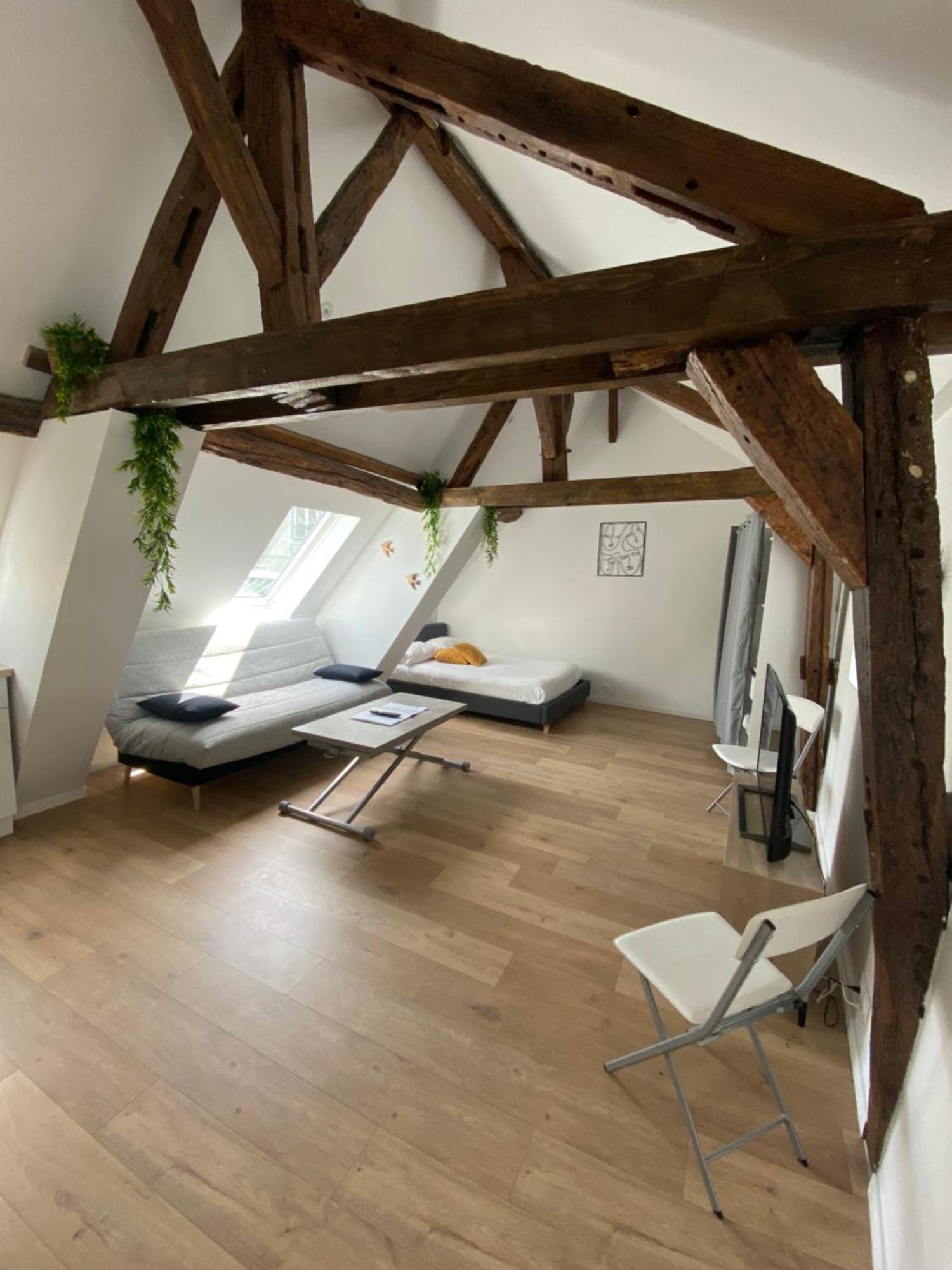 La Champenoise La Tannerie Apartment ทรัวส์ ภายนอก รูปภาพ